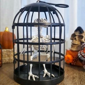 Black Bird Cage &. Skeleton Zombie Bird for Halloween Decor